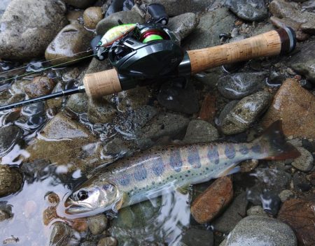 増水した渓でアマゴ釣り